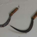 A/74 - n° 2 Falcetti